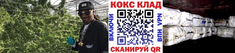 Купить закладки Ершов КОКАИН Fish Scale