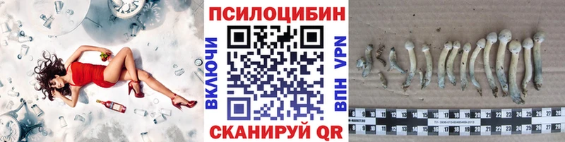 Купить закладки  Ершов  Псилоцибиновые грибы мухоморы 